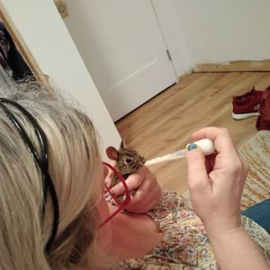 Meet your Posher, Nancy